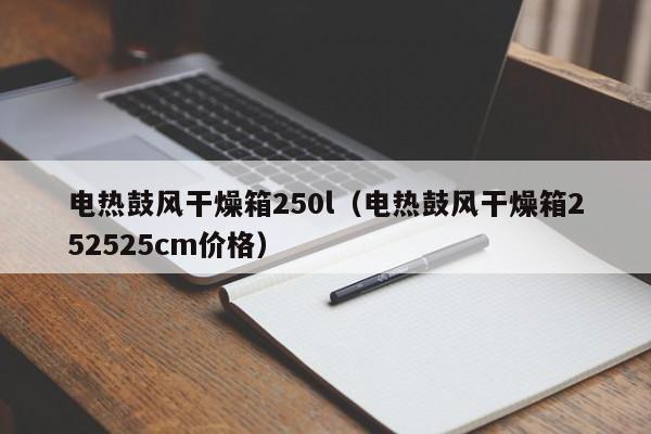 电热鼓风干燥箱250l（电热鼓风干燥箱252525cm价格）