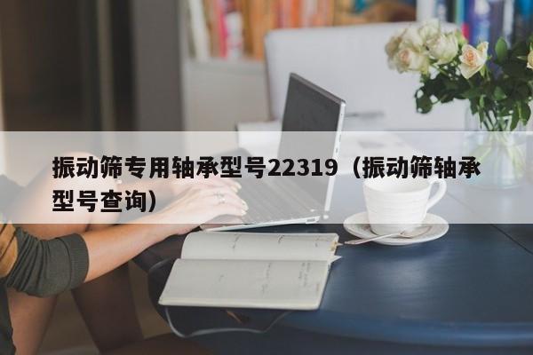 振动筛专用轴承型号22319（振动筛轴承型号查询）