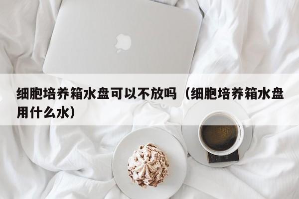细胞培养箱水盘可以不放吗（细胞培养箱水盘用什么水）