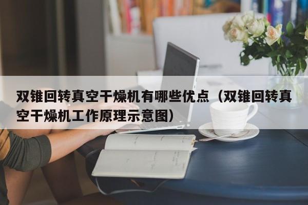 双锥回转真空干燥机有哪些优点（双锥回转真空干燥机工作原理示意图）