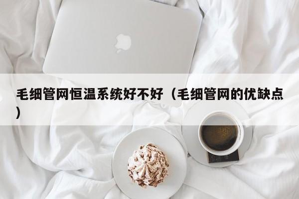 毛细管网恒温系统好不好(毛细管网的优缺点)