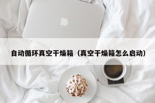 自动循环真空干燥箱（真空干燥箱怎么启动）