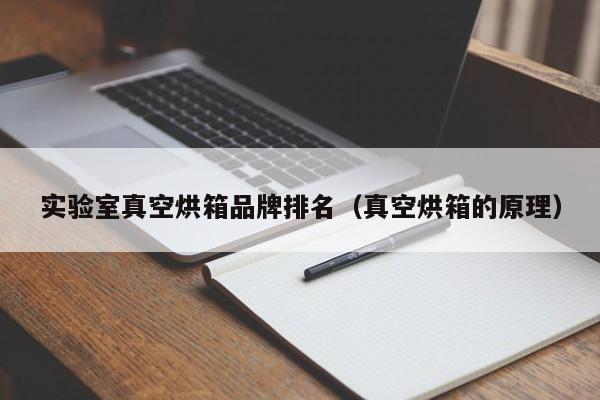 实验室真空烘箱品牌排名（真空烘箱的原理）