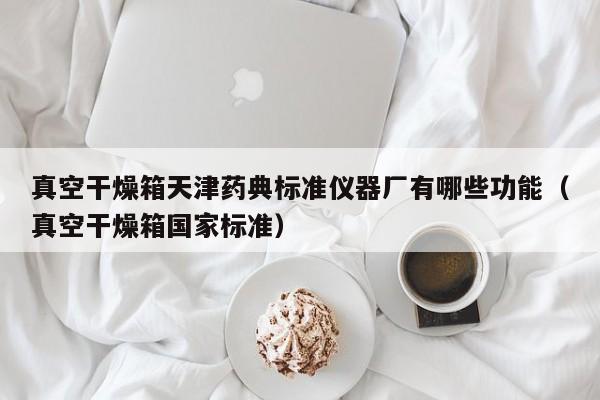 真空干燥箱天津药典标准仪器厂有哪些功能(真空干燥箱国家标准)