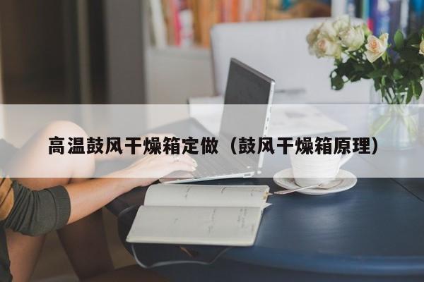 高温鼓风干燥箱定做(鼓风干燥箱原理)