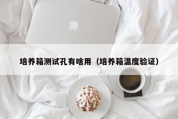 培养箱测试孔有啥用(培养箱温度验证)