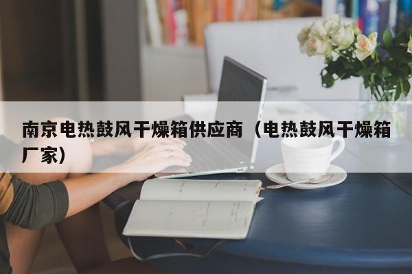 南京电热鼓风干燥箱供应商（电热鼓风干燥箱厂家）
