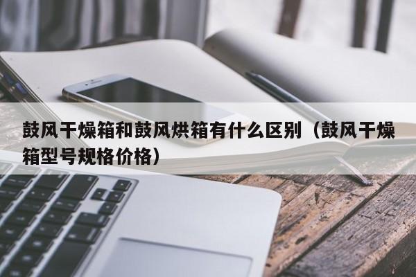 鼓风干燥箱和鼓风烘箱有什么区别（鼓风干燥箱型号规格价格）