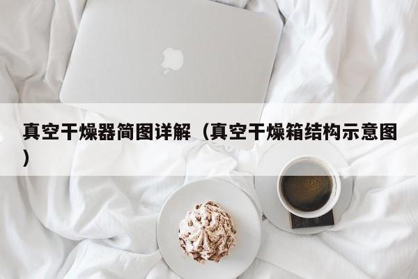 真空干燥器简图详解（真空干燥箱结构示意图）