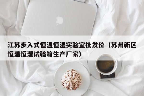 江苏步入式恒温恒湿实验室批发价（苏州新区恒温恒湿试验箱生产厂家）