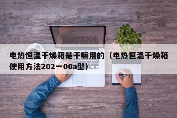 电热恒温干燥箱是干嘛用的（电热恒温干燥箱使用方法202一00a型）