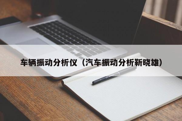 车辆振动分析仪（汽车振动分析靳晓雄）