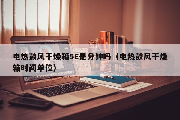 电热鼓风干燥箱5E是分钟吗（电热鼓风干燥箱时间单位）