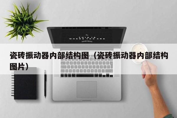 瓷砖振动器内部结构图（瓷砖振动器内部结构图片）