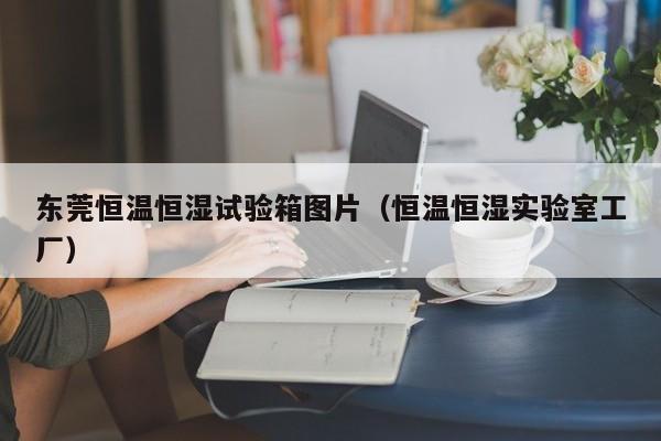 东莞恒温恒湿试验箱图片(恒温恒湿实验室工厂)