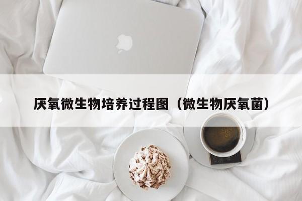 厌氧微生物培养过程图(微生物厌氧菌)
